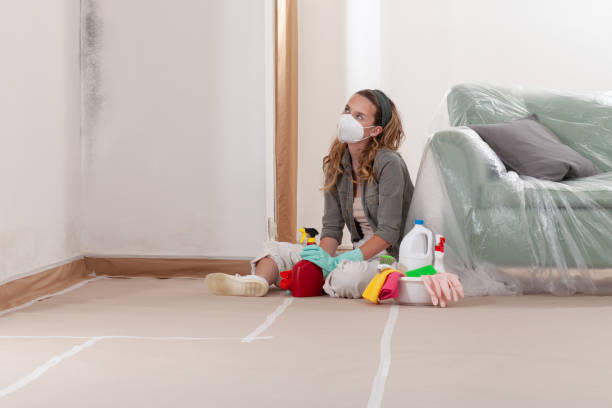Reliable Mold Remediation contractor in Belvidere, NC by WQB Mold Removal